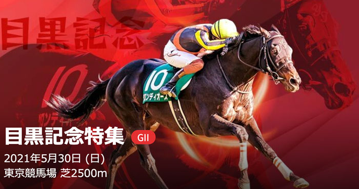 5/30(日) 第135回 目黒記念(GⅡ) part1