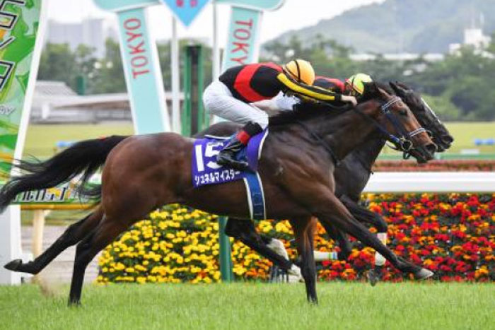 5/9(日) 第26回NHKマイルカップ(GⅠ) 反省会