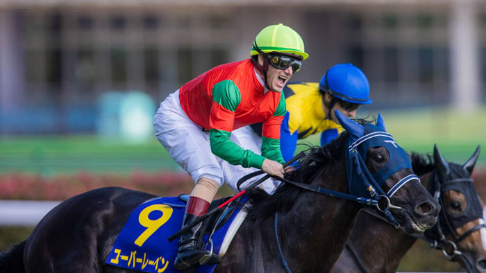 ユーバーレーベン　左屈腱部に腫れと熱感