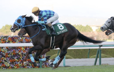 青葉賞反省会＆ダービー展望