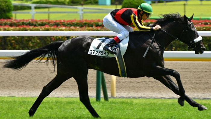 コマンドライン強すぎワロタｗｗｗ