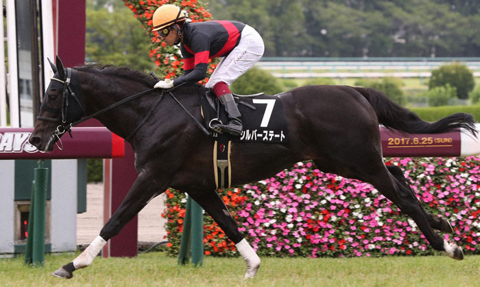 シルバーステート産駒初勝利