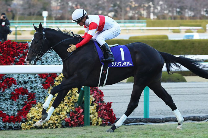 ダノンプレミアム引退へ