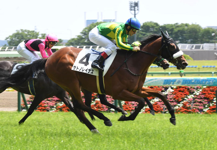 日本ダービー５着のサトノレイナス秋華賞に直行へ