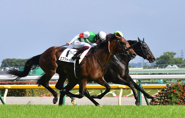 皐月賞馬エフフォーリア、秋は天皇賞→有馬記念へ