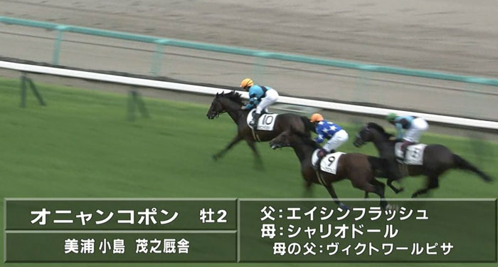 オニャンコポン 新馬戦勝利！