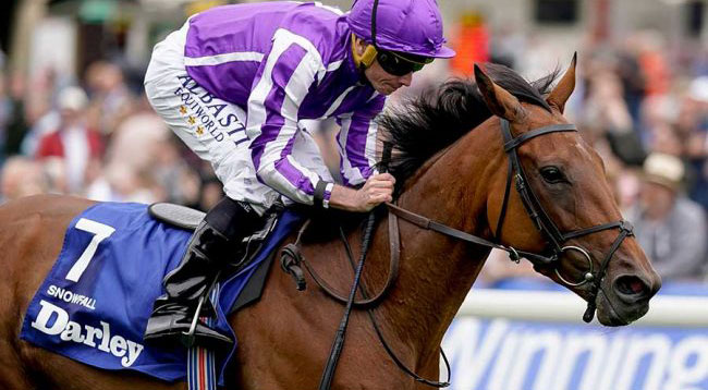 スノーフォール、ジャパンカップに予備登録！