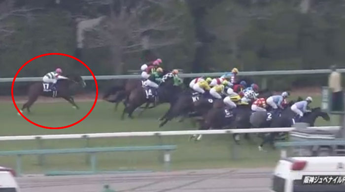 【阪神ＪＦ】ナミュールCデムーロ出遅れｗｗｗ