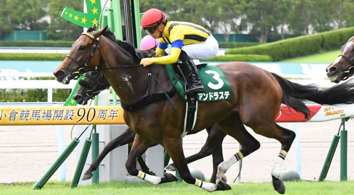 ターコイズS2着アンドラステ　左前球節の炎症でスポニチ賞京都金杯回避