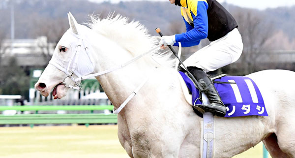 ソダシ、次走ヴィクトリアマイルへ直行決定