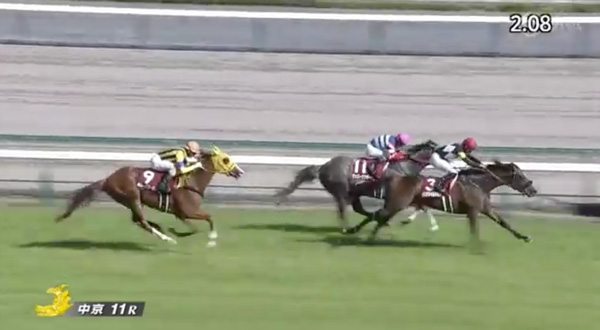 【京都新聞杯】アスクワイルドモア強すぎワロタ w w w