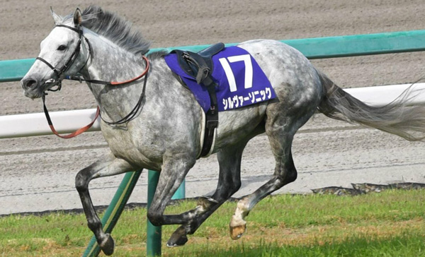 【天皇賞・春】シルヴァーソニック川田しょうがｗｗｗ