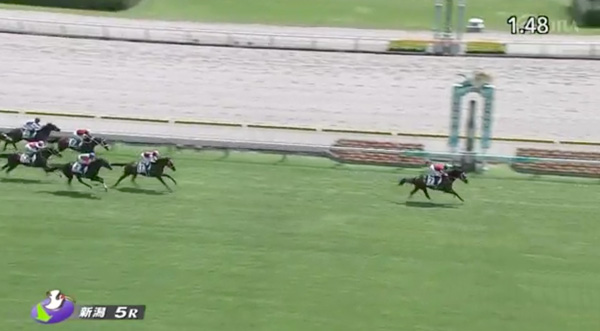 フェイト強すぎワロタｗｗｗｗ