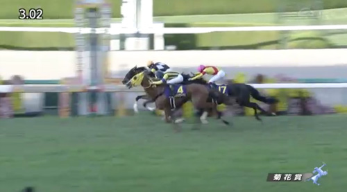 10/23(日) 第83回菊花賞 part7 反省会