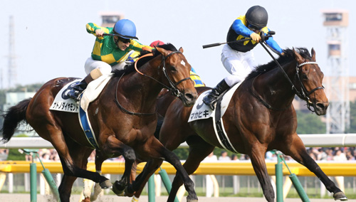 マカヒキ引退、レックススタッドで種牡馬入り