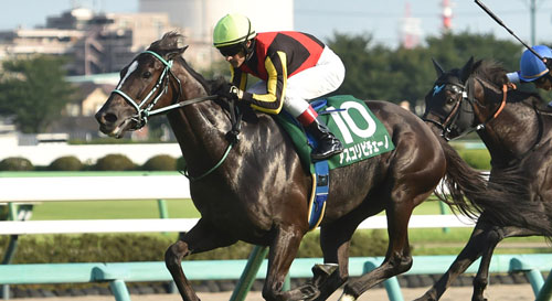 【京成杯AH】アスコリピチェーノ強すぎワロタwwww