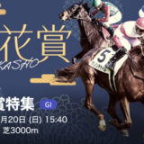 【競馬予想】[1]第85回菊花賞(GⅠ) /2024