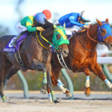 【チャンピオンズC】レモンポップ、ハナ差制し連覇達成！有終の美を飾り引退式へ