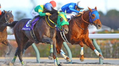 【チャンピオンズC】レモンポップ、ハナ差制し連覇達成！有終の美を飾り引退式へ